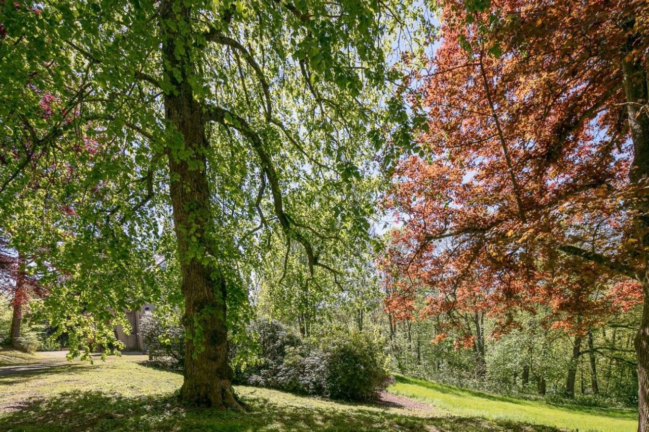 Chateau Chevalier Des Montys Bed and Breakfast Stavelot Buitenkant foto